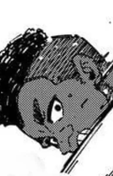 Kaita