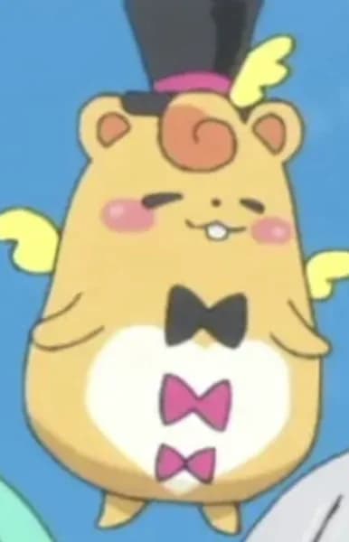 Ham