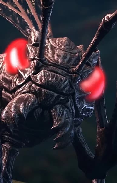 Stone Swallowing Ant Queen