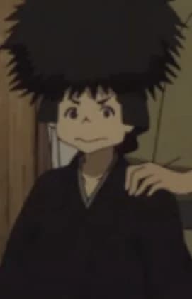 Puuta