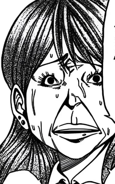 Sumitani, Mirei