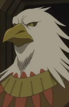Condor, Hawk
