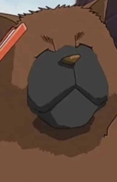 Taikomochi