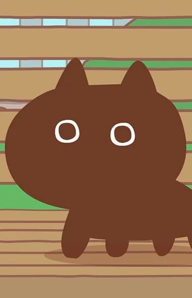 Black Cat