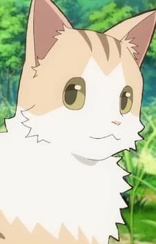 Newbie Cat