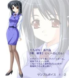Tachibana, Ayane