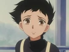 Mineo, Harumi