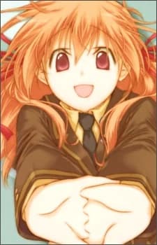 Sasamori, Koyuki