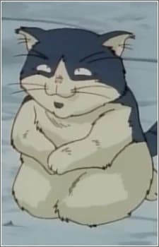 Buccha