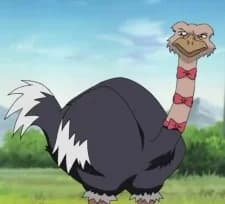 Condor