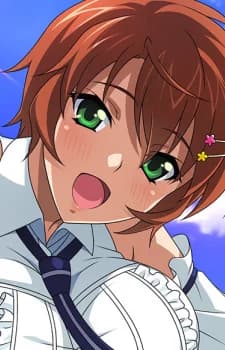 Chinkyuu, Koudai