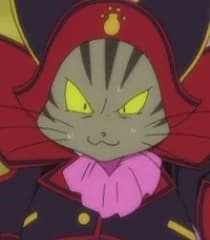 Cat Master