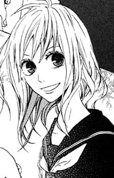 Kamioka, Saya