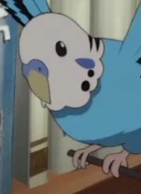 Inko