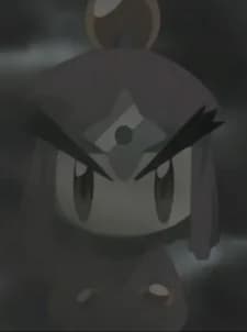 Bomber, Ninja