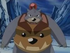 Bomber, Bear