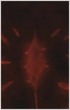 Rekidai Maou