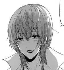Hojo, Ringo