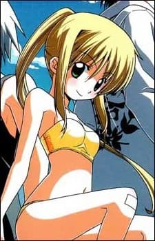 Seto, Mitsumi