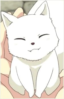 Kon