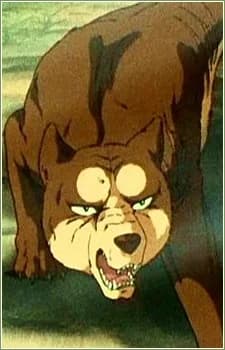 Riki