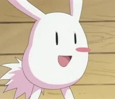 Pikota
