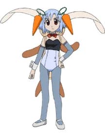 Pipin