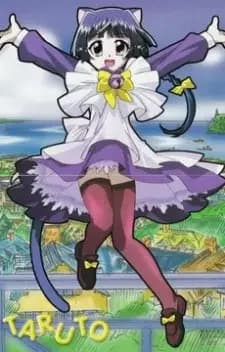 Mágico Meow Meow Taruto
