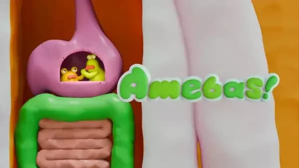 Amöben!