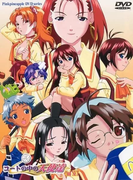 Angels in the Court
