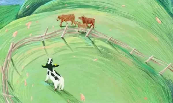 Eri, a Vaca
