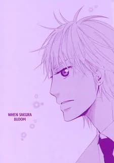 Sakura Saku Koro