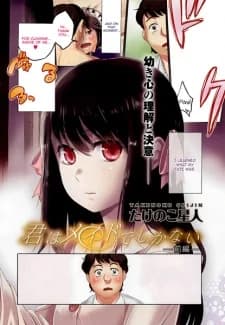 Kimi wa Maid de Shikanai