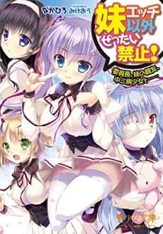 Imouto Ecchi Igai Zettai Kinshi! Iinchou, Imouto no Shinyuu, Chuunibyou Shoujo to......