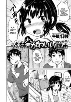 Uchi no Imouto ga Sukoshi Kawaii Ikutsuka no Riyuu