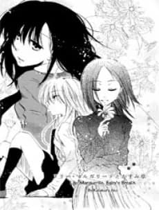Lily Marguerite to Kasumisou