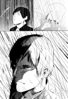 Seigi no Mikata