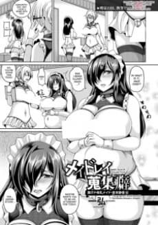 Maid Rei Shuushuuheki