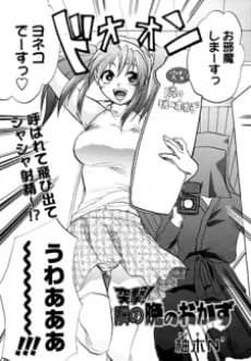 Totsugeki!! Tonari no Ban no Okazu