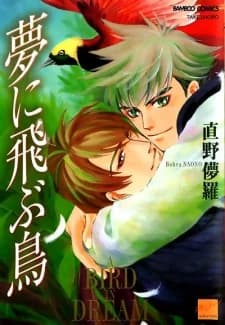 Yume ni Tobu Tori