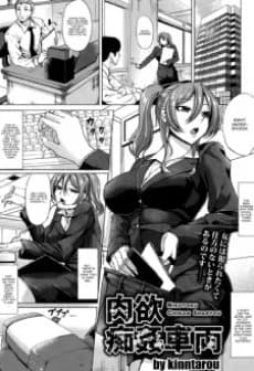 Nikuyoku Chikan Sharyou