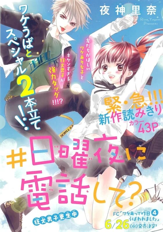 #Nichiyou Yoru ni Denwa Shite? Kyouken Danshi Kouseichuu
