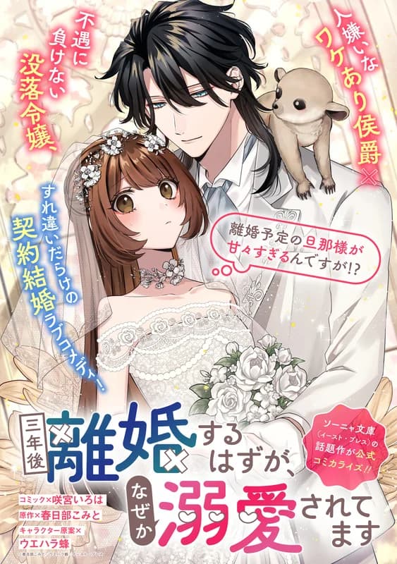 Sannengo Rikon suru Hazu ga, Naze ka Dekiaisaretemasu