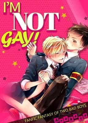 Ore wa Zettai Gay ja Nee! Yanki Danshi no Midara na Usuhon Mousou
