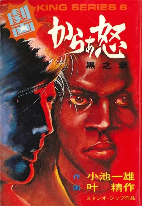 Color of Rage