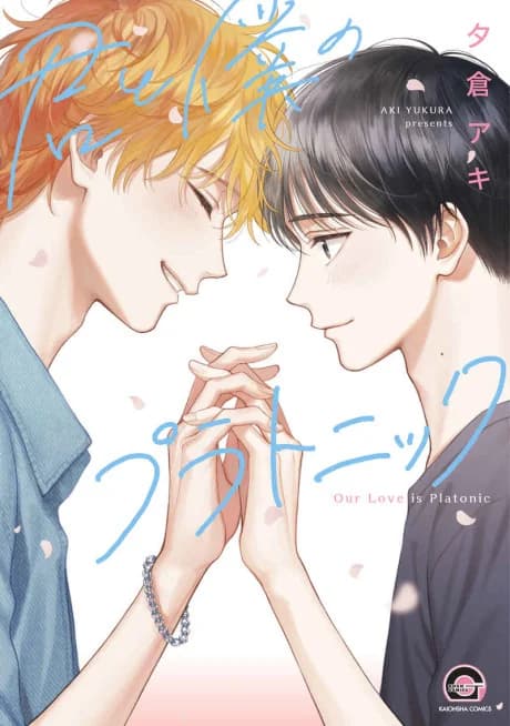Our Love is Platonic