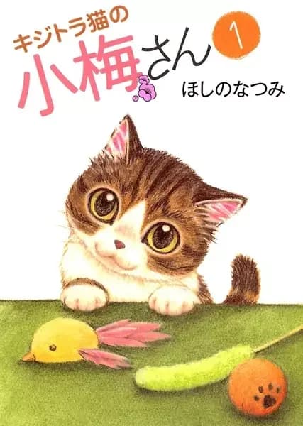 Plum Crazy! Tales of A Tiger-Striped Cat