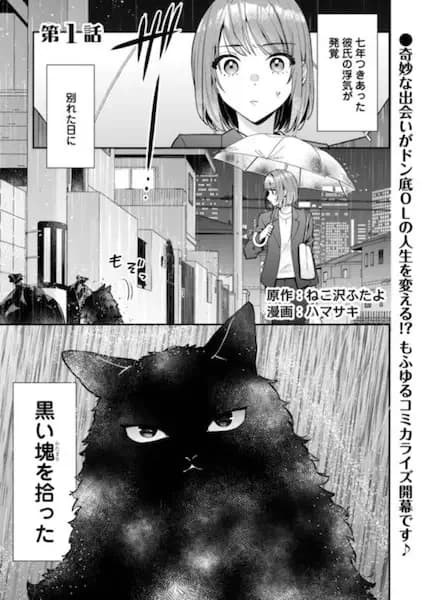I'm Not Sure If the Cat I Found Is Actually a Cat.