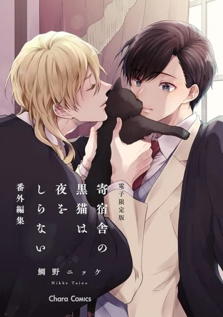 "Kishukusha no Kuroneko wa Yoru wo Shiranai" Bangai-henshuu