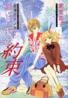 Himegami-chou Link
